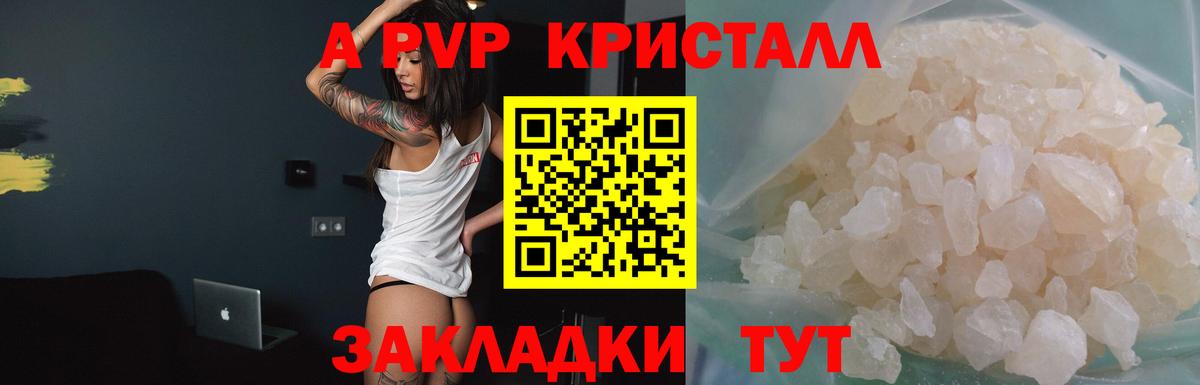 A PVP крисы CK Великий Новгород