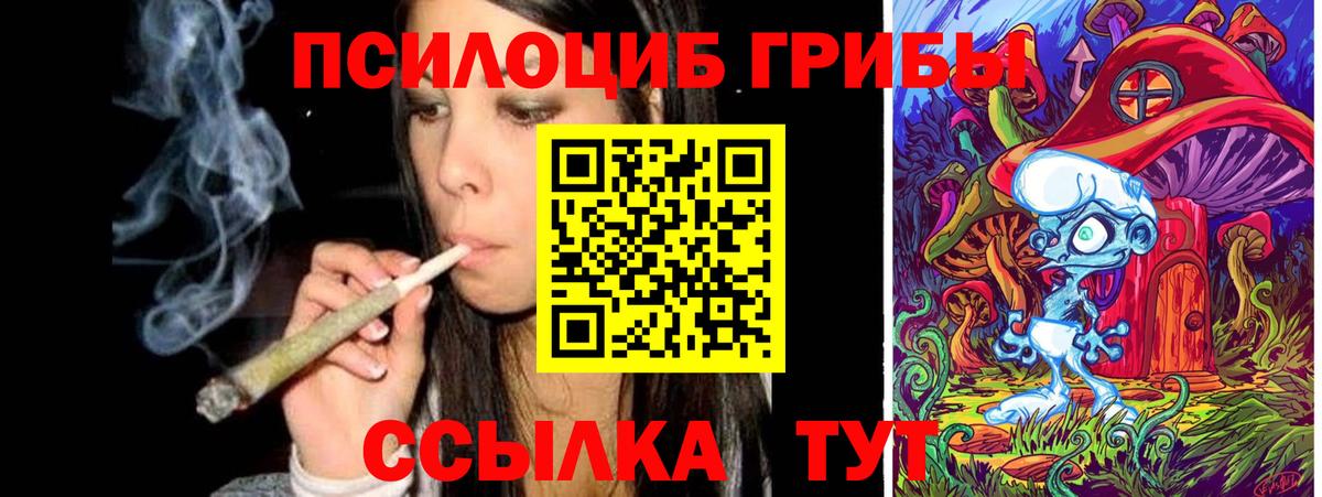 Галлюциногенные грибы Cubensis  Вход с VPN  Великий Новгород 