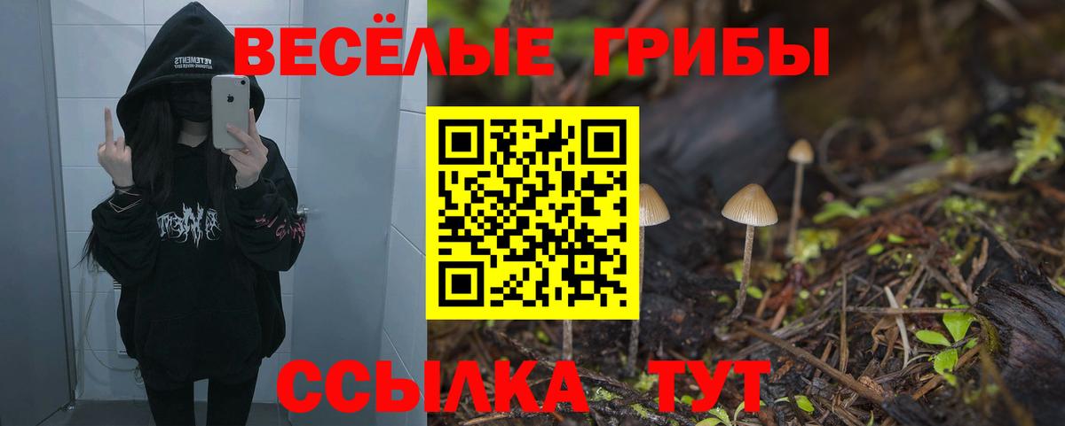 Галлюциногенные грибы ЛСД Великий Новгород